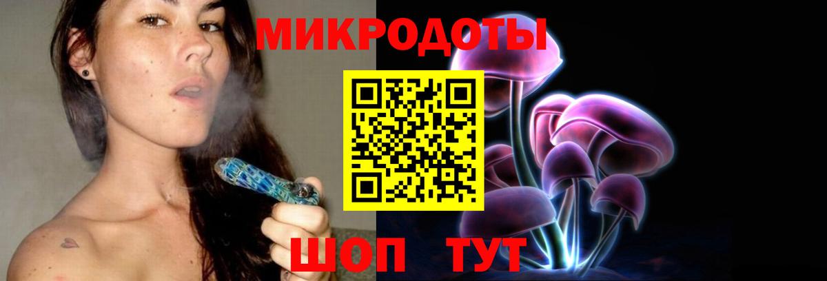 Псилоцибиновые грибы Psilocybine cubensis  Вход с VPN  Елабуга 